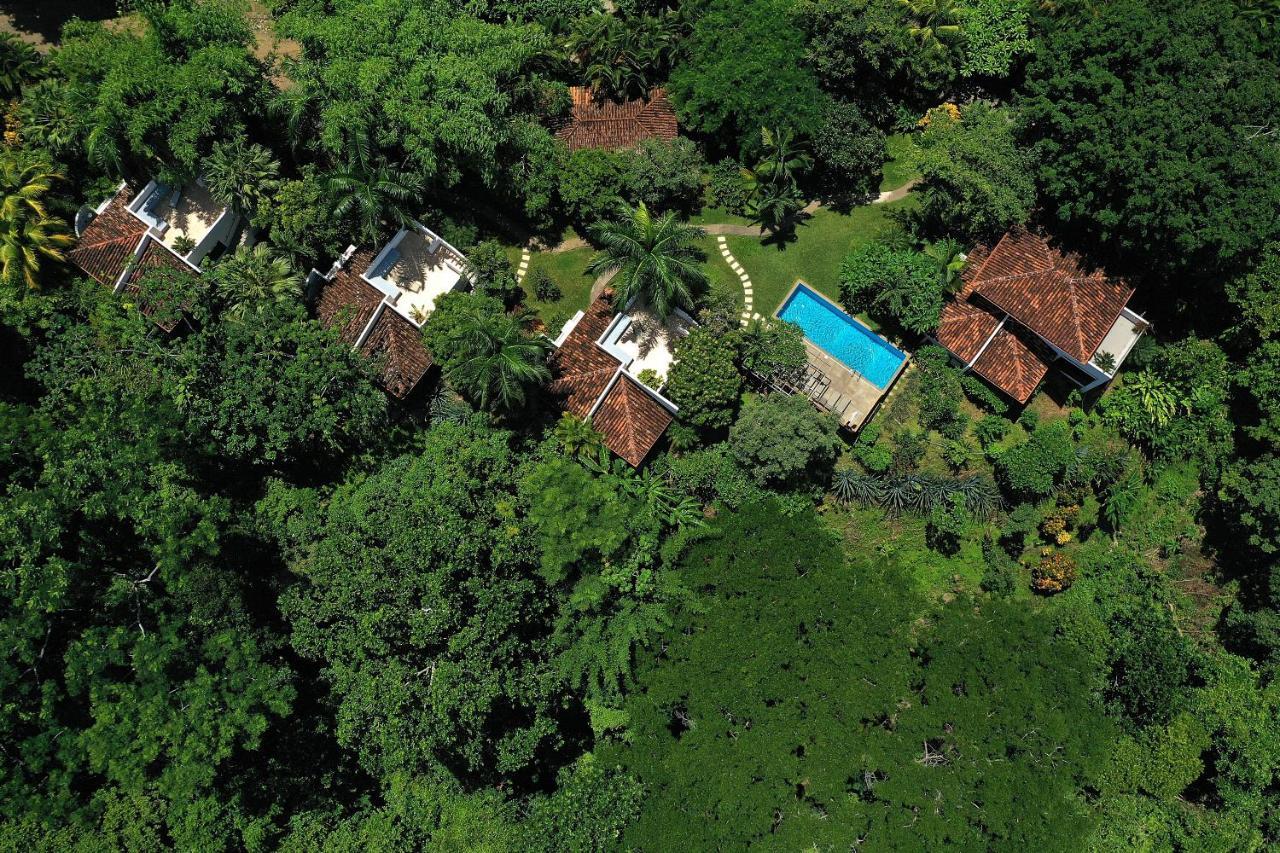 Casa Frangipani Hotel Монтесума Екстериор снимка