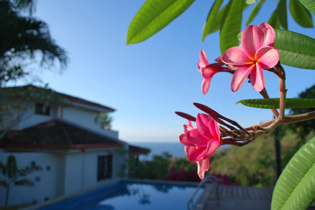Casa Frangipani Hotel Монтесума Екстериор снимка